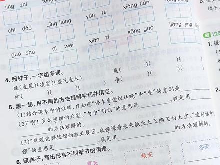 你真别贪多!每周就把#王朝霞 的过课本做两页,考试就像抄答案#小学教辅 #好书推荐 #学习资料