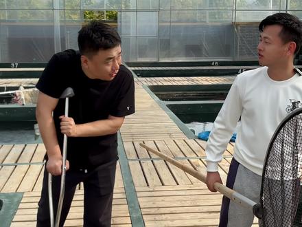 第二家,继续薅羊毛,比想象的要顺利,老板是真舍得拿鱼啊#锦鲤拍卖 #有鲤讲鲤 #锦鲤鱼 #水产养殖人