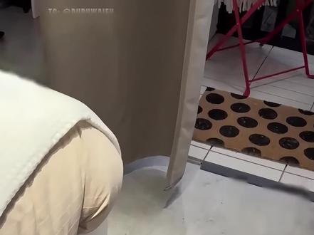 盯着我看干嘛#pupuwaifu #电子女友