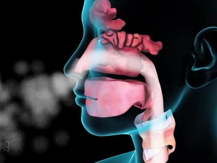 您好,我是你的鼻子 #知识科普 #涨知识 #鼻子