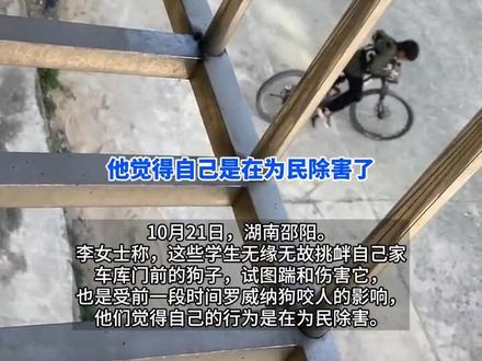 “他们还觉得是在为民除害” 多名小男孩疑故意挑衅伤害宠物狗,狗主人:狗在门口拴得好好的,可能受前段#罗威纳咬人事件 影响 #小男孩