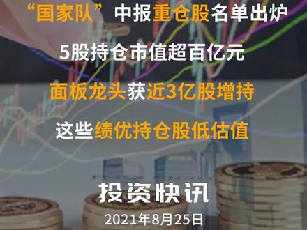 “国家队”中报重仓股名单出炉,5股持仓市值超百亿元,面板龙头获近3亿股增持,这些绩优持仓股低估值#面板