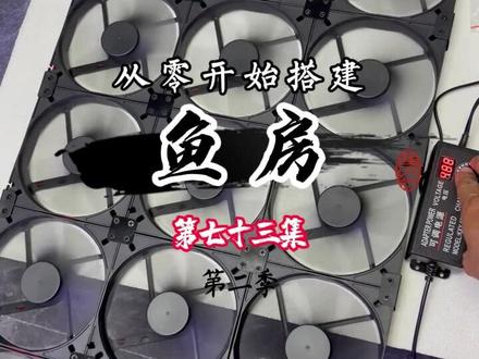第七十三集|从零开始搭建鱼房|
自制排风扇
#海缸 #鱼房 #红单苞