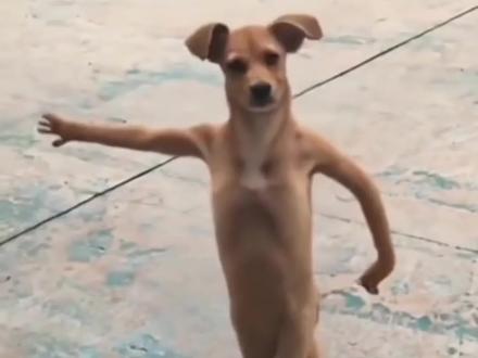 今天教大家做一个抽象的小狗圣体转场#剪映 #你是什么先天圣体 #先天小狗圣体转场小狗 #先天小狗圣体特效变狗 #先天圣体特效入口 小狗视频剪辑教程 先天小狗圣体转场小狗剪辑模板 先天小狗圣体转场小狗模板 先天小狗圣体转场小狗剪同款 小狗打拳原视频 先天小狗圣体转场小狗特效 先天小狗圣体转场小狗原视频 先天小狗圣体转场小狗怎么拍 先天小狗圣体转场变狗 先天小狗圣体转场小狗 你是什么先天圣体 先天圣体特效入口你是什么先天圣体转场怎么做 你是什么先天圣体特效小雨 先天小狗圣体特效怎么刷出来 常小雨小狗圣体特效 先天圣体转场特效怎么拍 你是什么先天圣体小狗特效 你是什么先天圣体怎么抽到小狗 你是什么先天圣体转场怎么做 你是什么先天圣体