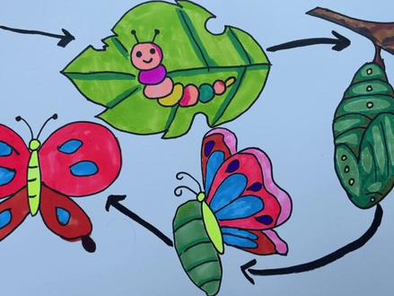 毛毛虫变蝴蝶—科学启蒙简笔画。破茧成蝶。谢谢您陪我长大。#育儿 #幼儿简笔画 #金牌育言家 #陪我长大