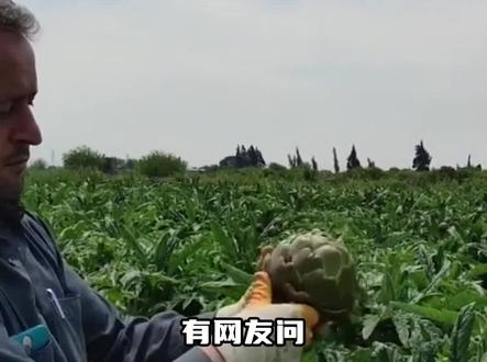 为什么动植物不能进化的让自己特别难吃 动植物:咱就是说这是我的问题吗 #娱乐评论大赏 #搞笑