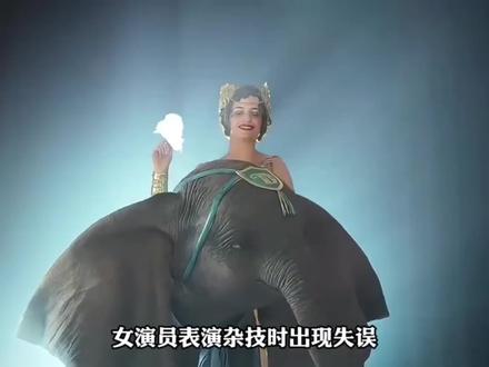 马戏团的惊险跌落,换来四年…..#小象的勇气 #解说