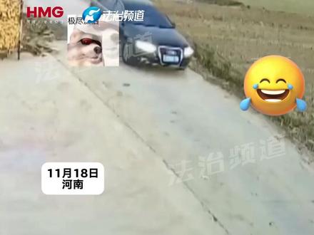 小伙上班途中超过结婚车队不料把婚车带偏 跟他回了家新郎:这不是去新娘家的路啊