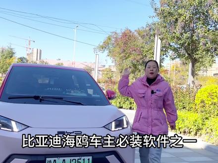 比亚迪海鸥免费的雷达语音测距操作流程来啦,海鸥车友赶紧收藏 #比亚迪海鸥 #懂车帝 #用车知识 #上热门