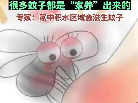 快立冬了,为啥还有蚊子?#天冷了 #蚊子
