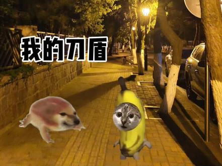 当我被我的刀盾洗脑#猫meme #真实还原