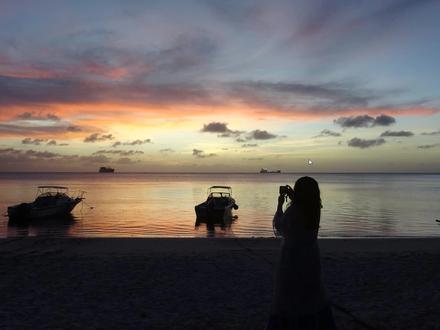 【默寒】模拟人生4模组MOD安装教程与下载方法