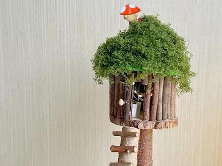 天梯小屋制作视频,仅供参考