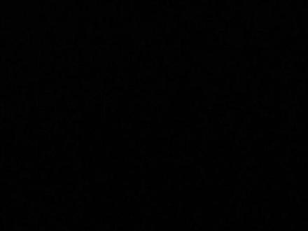 #花雨庭 UI更新!!!