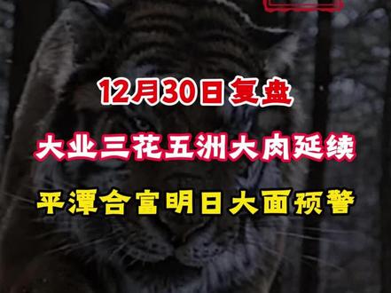 12月30日#大业#三花#航发#平潭#神剑