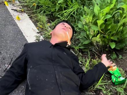 豆包一口一个四哥真有感情