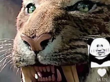 @豆包 你能不能帮我找一下这个视频里错误到底有多少?