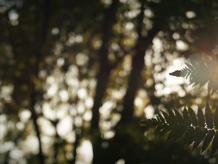 每一个她,都有无限可能,中国联通愿做她们故事里最温润的支撑。#三八妇女节