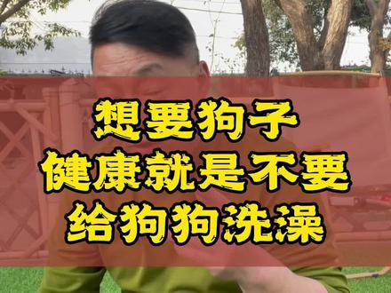 狗狗脏了臭了不要给它用水频繁的洗澡 切记 免洗泡沫可以解决狗脏了臭了的问题 不好用支持7天无理由退换货#萌宠好物 #狗狗洗澡神器 #狗狗洗澡