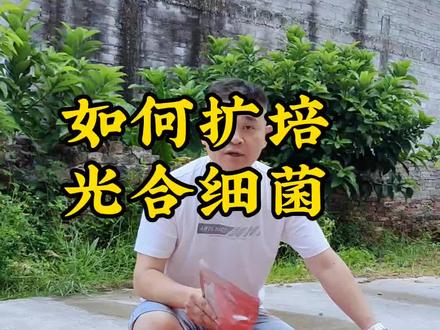 如何扩培合细菌?#水产养殖 #光合细菌 #光合细菌培养基 #光合细菌扩培方法 #养殖技术 @DOU+小助手