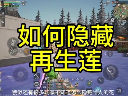 怎么隐藏半人的花#明日之后 #明日之后赚金计划