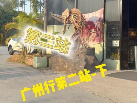 大家想看的蟒和蚺都在这 养爬不就是为了去感受更多的物种给人带来的震撼嘛 #生态景观 #蟒#蟒蛇 #蚺 #爬宠