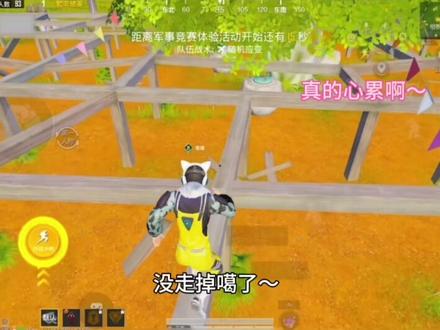 关于麦当劳的意思 大家可以自行查询~#和平精英#直播素材#雨林双排