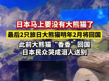#日本 马上要没有#大熊猫 了!最后2只旅日大熊猫明年2月将回国,此前大熊猫“香香”回国,日本民众哭成泪人送别