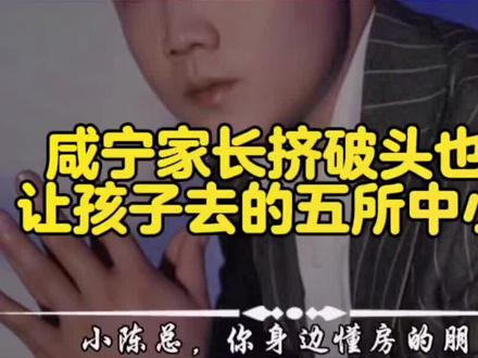 咸宁家长挤破头也要进的五所学校,你想让你的孩子读哪个学校呢#咸宁小陈总 #咸宁壹号院 #咸宁九樾 #咸宁高新外国语实验中小学 #浮山中小学