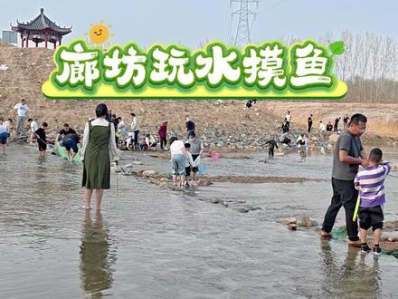 廊坊玩水摸鱼的免费地方,龙河西桥#廊坊遛娃 #捕鱼的快乐 #廊坊周末去哪玩