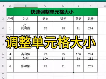 快速调整单元格大小#小白学习excel #干货分享 #单元格 #0基础学电脑 #电脑知识