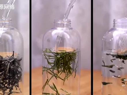 关于冷泡茶的这三点好处,爱茶人必须知道!#冷泡茶 #夏日饮品 #茶生活 #茶知识 #中国茶抖起来 #召唤茶友