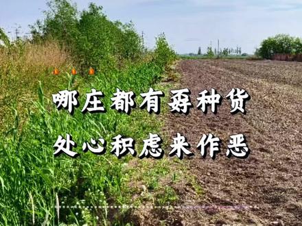 哪庄都有这样的人#顺口溜#大实话