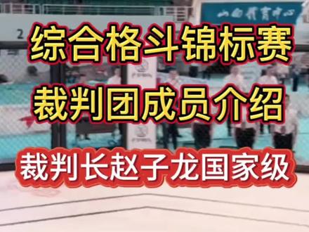 我国首届综合格斗锦标赛,国内综合格斗史上最强裁判团成员介绍!#2023 #综合格斗锦标赛 #裁判团队 #战觉城情报员 #直播间录屏分享 #MMA #ufc #格斗 #综合格斗