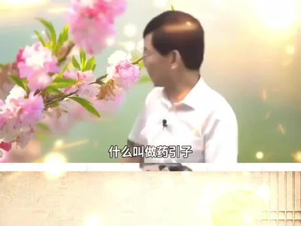 什么叫做药引子?有什么作用和原理#传承中医文化 #中医 #中医文化 #中医科普