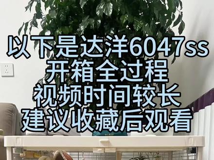 全网超详细达洋6047ss鸟笼开箱视频,建议收藏后观看#达洋6047ss #牡丹鹦鹉 #开箱vlog