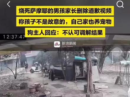 不爱请别伤害,每个生命都值得被温柔对待#萨摩耶#被烧萨摩耶 #熊孩子 #宠物 #热门