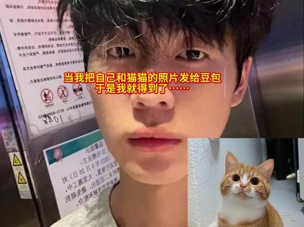 世界不能没有小猫咪,和猫猫相拥ai指令教程来啦#梨花猫#豆包ai#和宠物合照#豆包p图指令#热门