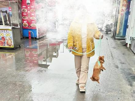 谁为小狗发声哈哈哈~有点难度,但是很酷〔阿波罗〕立体纸飞机教程来啦#真实生活分享计划 #纸飞机 #标记了一辆载具 #折纸