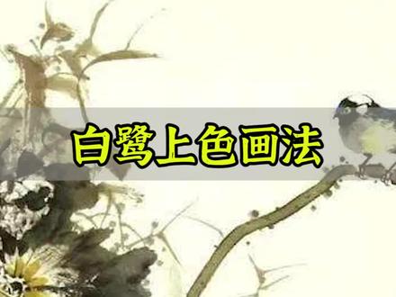 白鹭上色画法#国画教程 #国画 #水墨写意 #抖出我的艺术 #艺术 #零基础学画画 #国画艺术 #想画就画 #画画