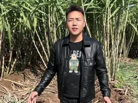 一年又一年,又到了去年的现在!