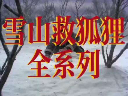 雪山救狐狸完整版,笑不活#狐狸 #雪山