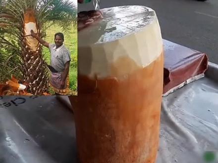 #印度街头美食#棕榈树树茎做美食#长见识开眼界@爱歌爱舞的百川