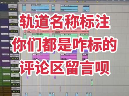 你们都是咋标轨道的?#混音教学 #搬砖使我快乐 #混音师彬彬 #热门音乐🔥