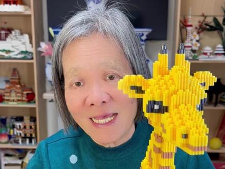 奶奶圆孙梦:长劲萌 杭州奶奶为孙拼乐高长颈鹿,边搭边唠隔代宠日常,搭建细节超治愈,正能量模样太圈粉! #积木 #乐高 #长颈鹿 #动物园