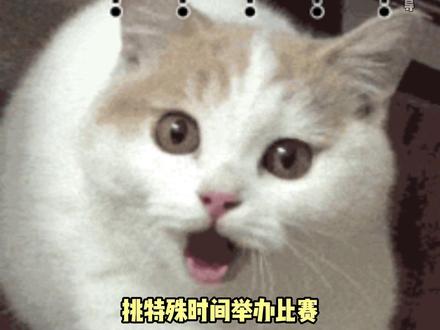 偷吃大赛这个赛事中,最公平的一场终于要来了#南昌首届偷吃拌粉大赛 #南昌 #南昌拌粉 #偷吃大赛 #高中生