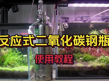 二氧化碳反应钢瓶,草缸玩家常用的碳源之一。#二氧化碳反应瓶 #草缸二氧化碳