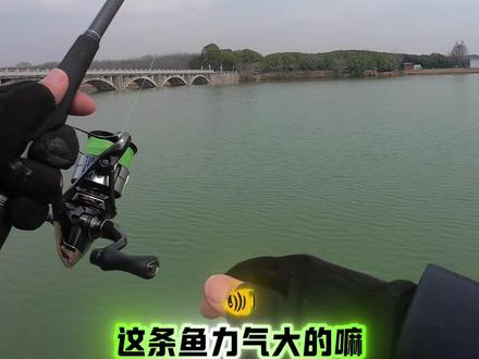 兄弟们翘嘴季即将来临你们还在等什么#路亚翘嘴 #助投器 #钓鱼人的快乐 #钓鱼人的精神无人能比 #爱钓鱼的袁三寿