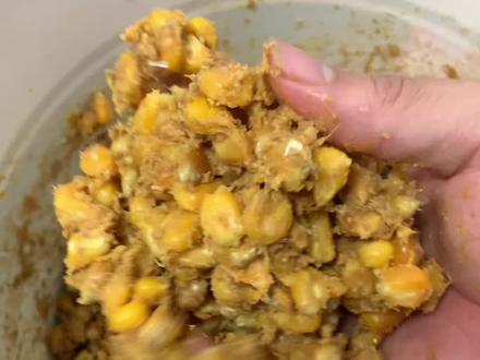 发酵玉米有很多种做法,我这种做法测试过很多年,比较适合底钓守大物,诱鱼非常迅速,个体会偏大#自制饵料 #钓鱼人