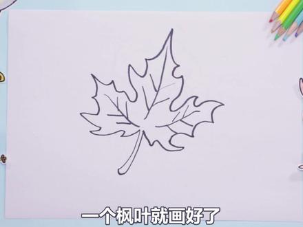 #抖音青少年 #青少年爱自然 #简笔画 枫叶简笔画教学来啦
